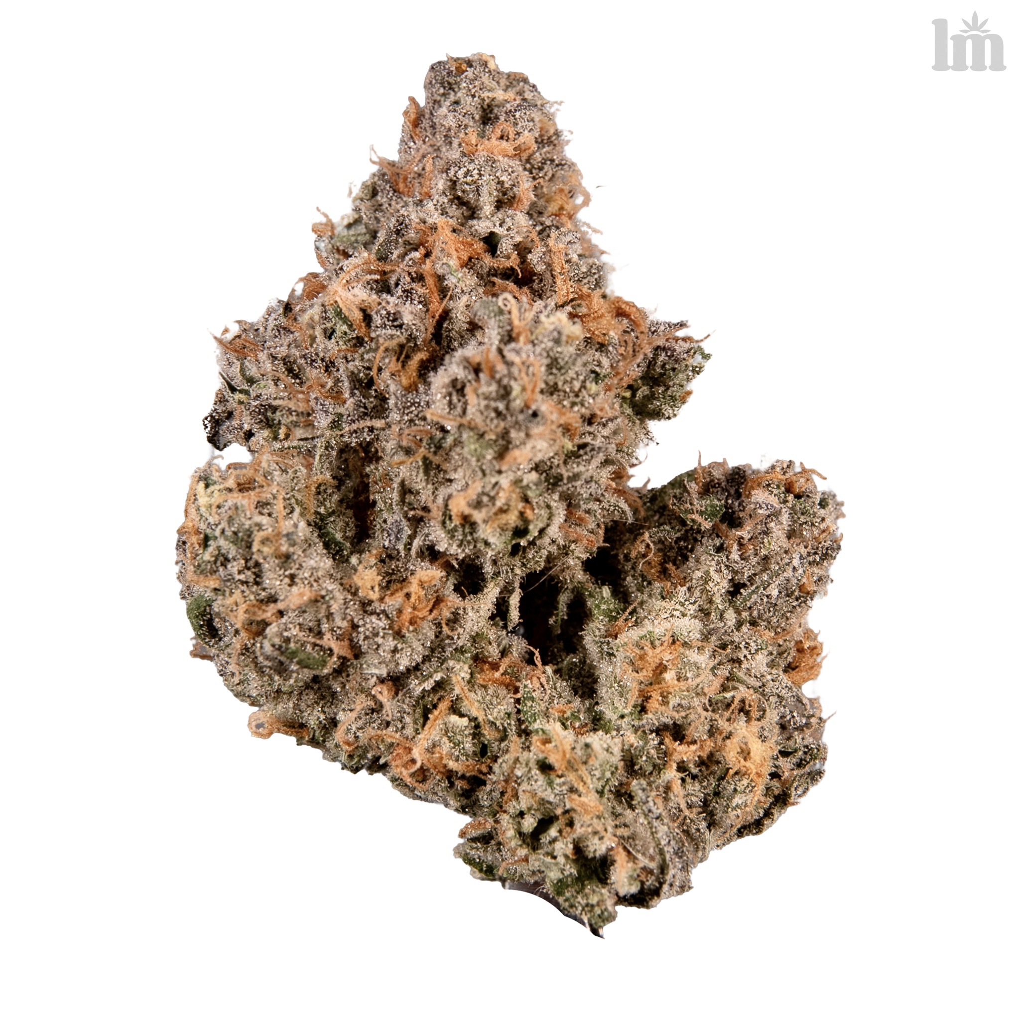 Apple Tahoe (Tahoe OG x Apples & Bananas)