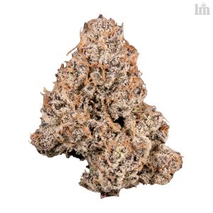 Dbl Lemon Cherry Gelato (LCG x LCG)