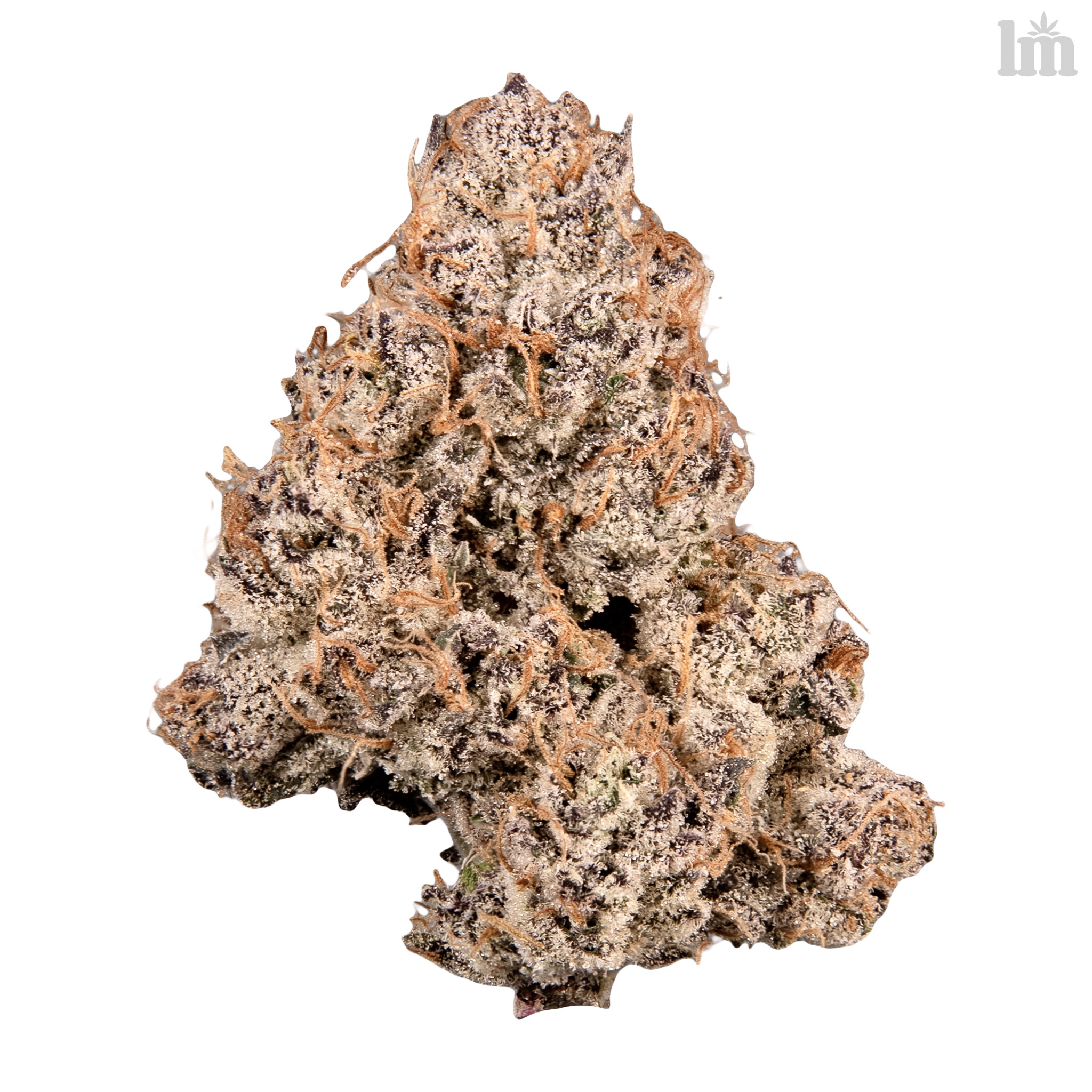 Dbl Lemon Cherry Gelato (LCG x LCG)